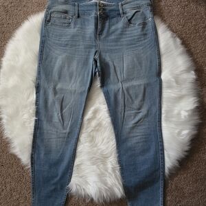 Torrid Skinny Jeans - Medium Wash